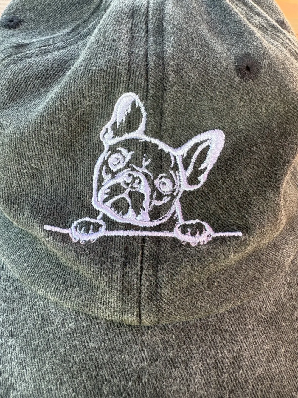 N/A french bulldog